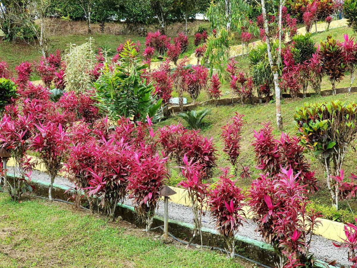 Villa Hosteria Kasadasa à Santo Domingo de los Colorados Extérieur photo